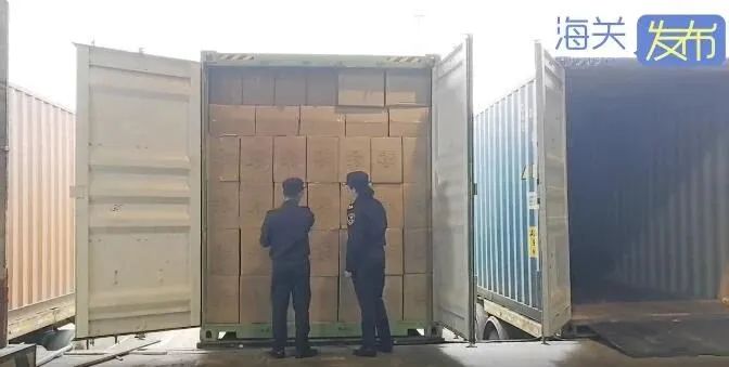 巨額罰款！20噸