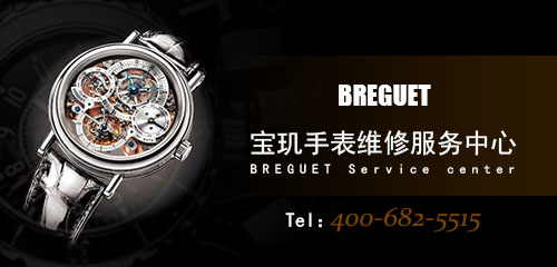 /wxpp/breguet/