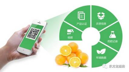 智慧重構冷鏈 電商“龍身”如何錨定最后三公里？